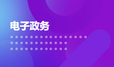 电子政务 (本科)