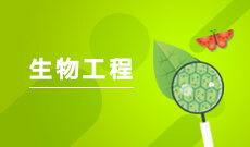 生物工程 (本科)